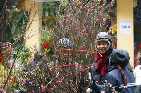 Spring atmosphere overwhelms streets